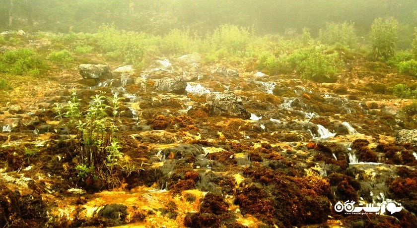 چشمه پراو -  شهر پل سفید